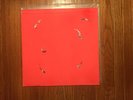 Animal Collective  Hollindagain first pressing LP St Ives handmade LMTD 300