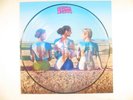 SUPERBE 33T PICTURE DISC PINK FLOYD THE GREAT GIG IN THE SKY