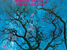 Amon Duul II ?- Phallus Dei LP, Brand New Sealed, Revisited Rec. 2009 Reissue