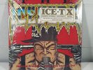 ICE T The Iceberg / Freedom Of Speech LP ORIG SIRE SEALED L1