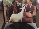 THE BEACH BOYS PET SOUNDS MONO In EX/EX CONDITION