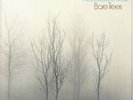 Bare Trees, Fleetwood Mac, Vinyl, 0081227965488