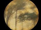 Golden Void - Berkana