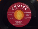 SANDY SCOTT Shake It Up / Rainbow Love 45 rpm CHOICE 1957 Rockabilly Original