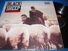 BLACK SHEEP.A WOLF IN SHEEP'S CLOTHING.12'' US VINYL LP 1991