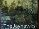 Jayhawks/Tomorrow The Green Grass US Vinyl in Shrink Original Release SEALED