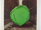 Meters - Cabbage Alley LP - Reprise VG++