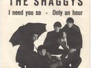 Shaggys - Only An Hour / I Need You So - R & B Pallas / Dr. Rolf Binder - 1964