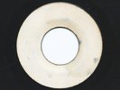 ROY SHIRLEY musical train THE UNIQUES facts of life BUNNY LEE rocksteady 7