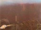 Light of Darkness-same UK German prog psych  lp reissue brand new Long Hair