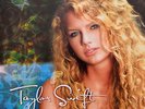 TAYLOR SWIFT Taylor Swift LP Vinyl BRAND NEW 2016