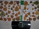 IL GIARDINO DEI SEMPLICI SAME CRIME K28P-731 Japan OBI VINYL LP