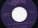 SPONTANEOUS GENERATION 