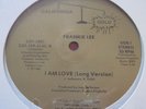FRANKIE LEE   I AM LOVE (1980)CALIFORNIA GOLD RARE MODERN SOUL BOOGIE 12