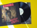 RAMONES  -  BRAIN DRAIN  -  WITH  PET SEMATERY AUS FRIEDHOF DER KUSCHELTIERE