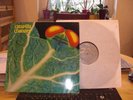 Catapilla Changes, UK prog, orig. german 1st.Press Swirl 1972