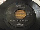 Power Pop/AOR: THE TIMES How Do You Feel 45 on OMI (1979) NM 45 J