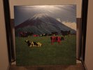 Lp Pink Floyd Live in Japan - Ltd Ed red Vinyl
