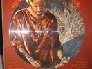 Stevie Wonder - Talking Book - Picture LP