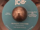 THE WEBB PEOPLE  I'm Sending Vibrations / Bump With Me   TCB funk soul 45