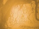 GOLDEN VOID - GOLDEN VOID  VINYL LP NEW