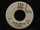 Rick McClellan-Frozen Sunshine/Julie Makes It Right-Quad 108-PSYCH RARE 45 WLP