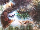 A Saucerful Of Secrets (UK 1986) : Pink Floyd