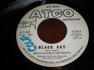 Brian Auger Trinity Black Cat, Top Mod Soul Hammond Freakbeat Pounder Radio Copy
