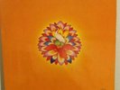 Popol Vuh - in den Gärten Pharaos LP