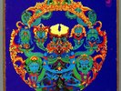Grateful Dead 