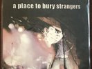 *VPI CLEANED* A Place To Bury Strangers S/T Imprec170 Vinyl