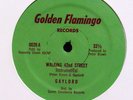 GAYLORD-WALKING 42ND STREET ON GOLDEN FLAMINGO RARE PRIVATE BOOGIE 12