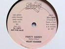 VELVET HAMMER-PARTY HARDY - PROMO ON SOOZI RARE PRIVATE DISCO FUNK 12