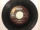 The Silhouettes 45 RPM Junior 396 What Would You Do - RARE DOO WOP 45