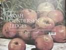 Ledges [Double LP] by Noah Gundersen (Dualtone Vinyl Den Edition)