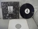 FLUX OF PINK INDIANS  -   STRIVE TO SURVIVE CAUSING - 1983  VINYL ALBUM
