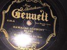 PRE WAR BLUES JOHNSON BOYS (Henry Moon) Gennett 6156 Hawaiian Harmony Blues E