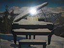 Supertramp Even in the Quietest Moments SIGNED with COA vinyl SP4634  010218LLE2