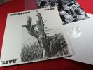 Whipping Post  AFTER AND REALLY - LIVE  -  2 LP-Set Musk Project - near mint