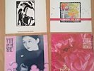 UK Punk Rock Siouxsie & Banshees 12