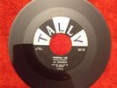 RARE 1958 ROCKABILLY 45 AL HENDRIX Rhonda Lee/Go Daddy Rock TALLY 119 Jolly Jody