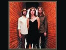 The Stray Birds-Best Medicine  Vinyl / 12