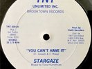 STARGAZE - You Can’t Have It - 12” rare DISCO FUNK/BOOGIE listen