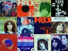 12x T. REX MARC BOLAN 7
