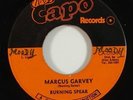 Burning Spear 