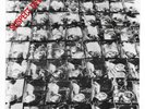 Single - Stiff Little Fingers ?- Suspect Device - SRD 1 - UK 1978 - UNPLAYED