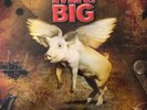 Mr. Big - What iF...(180g Vinyl LP),2011 frontiers