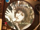 Kate Bush ?– The Dreaming 12