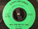 Scarce and Killer Detroit Northern Soul - The Soulettes on Scope - Nice