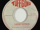 Wailers All Star Band 
